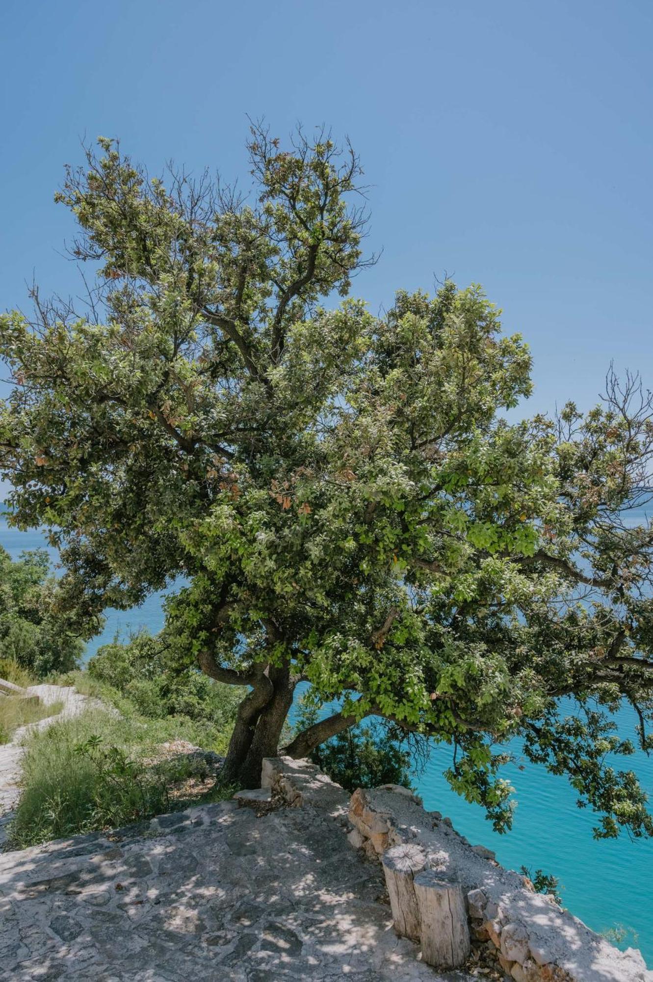 ボル Hidden Gem By Nono Banヴィラ エクステリア 写真